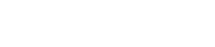 BDLI Logo weiß Logo